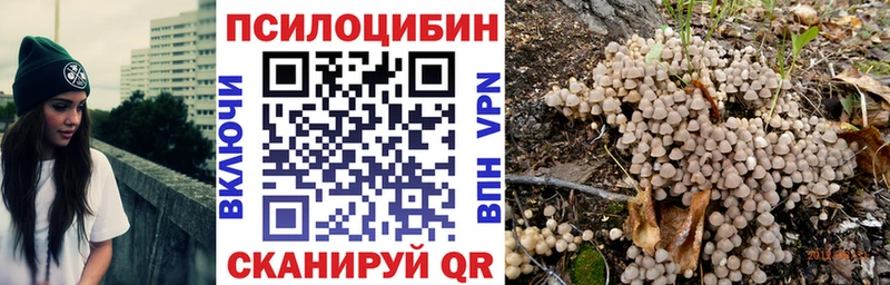 Псилоцибиновые грибы мухоморы продажа наркотиков Собинка